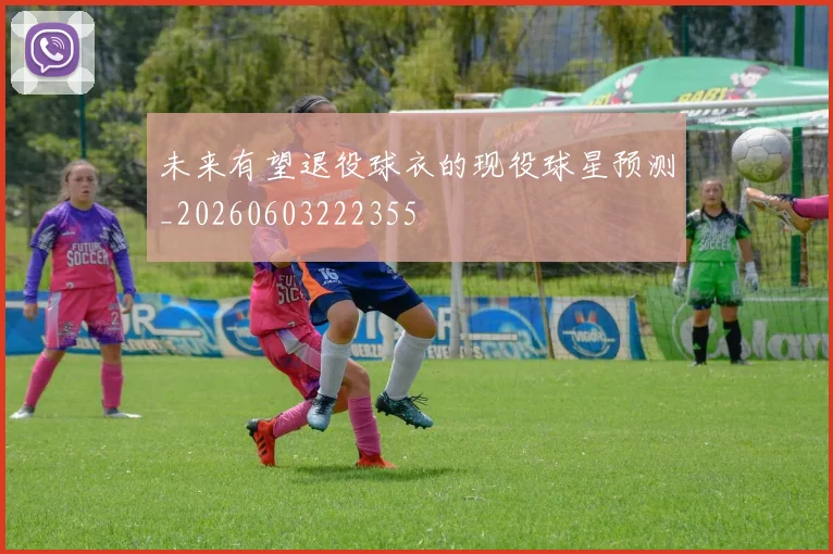 未来有望退役球衣的现役球星预测_20260603222355