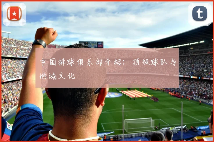 中国排球俱乐部介绍：顶级球队与地域文化