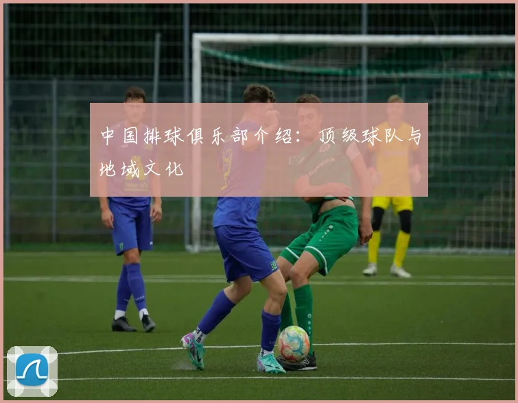中国排球俱乐部介绍：顶级球队与地域文化